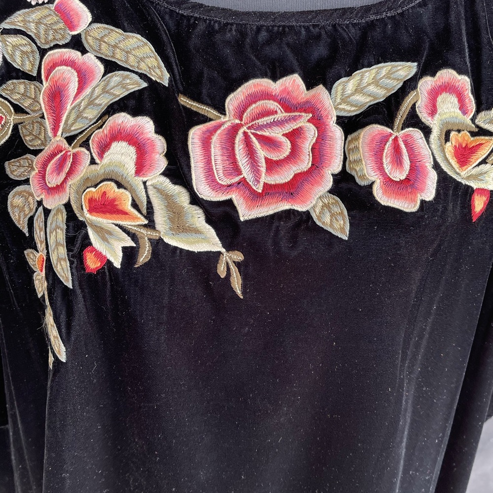 Velvet embroidered top